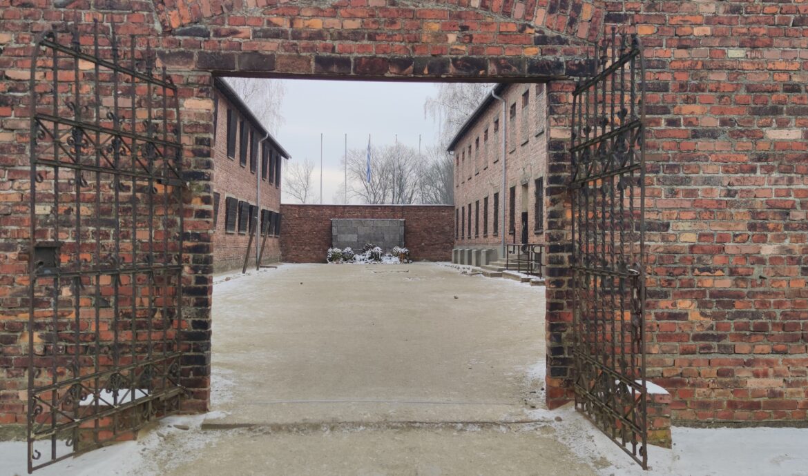 Un 23 de diciembre, visité Auschwitz. - David Baldovi . De Sapiens a Baldo