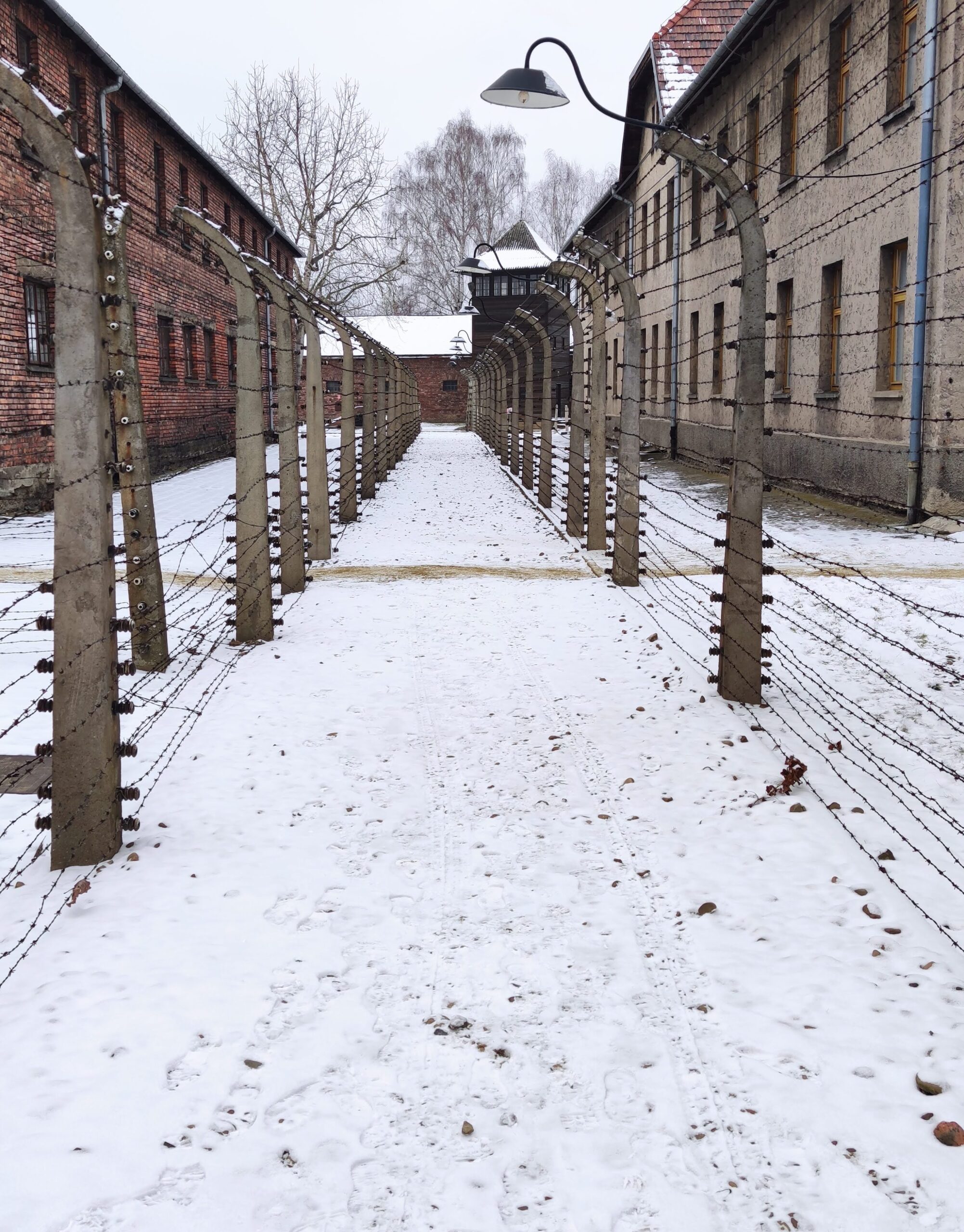 Un 23 de diciembre, visité Auschwitz. - David Baldovi . De Sapiens a Baldo